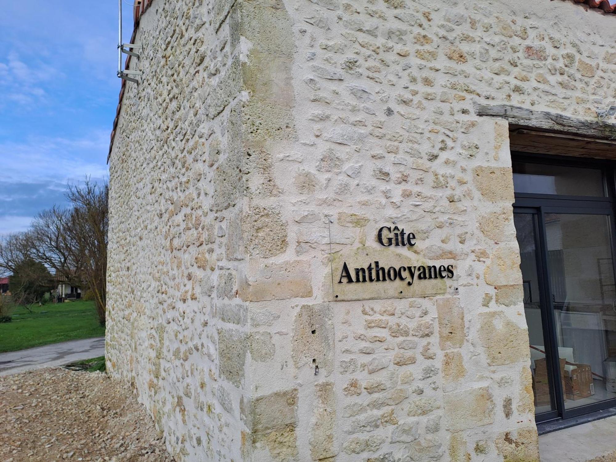 Chambres D'Hotes Chateau Pierre De Montignac Civrac-en-Médoc Eksteriør bilde