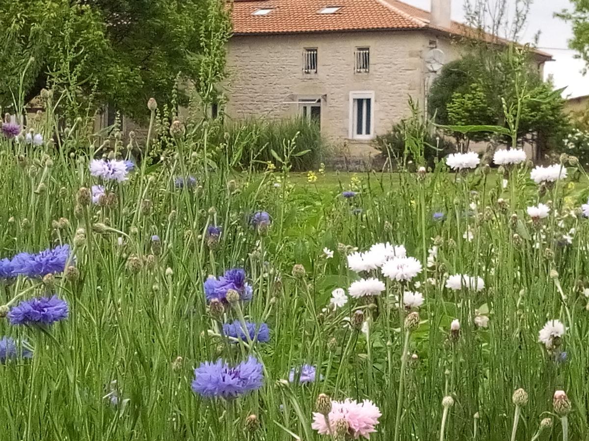 Chambres D'Hotes Chateau Pierre De Montignac Civrac-en-Médoc Eksteriør bilde