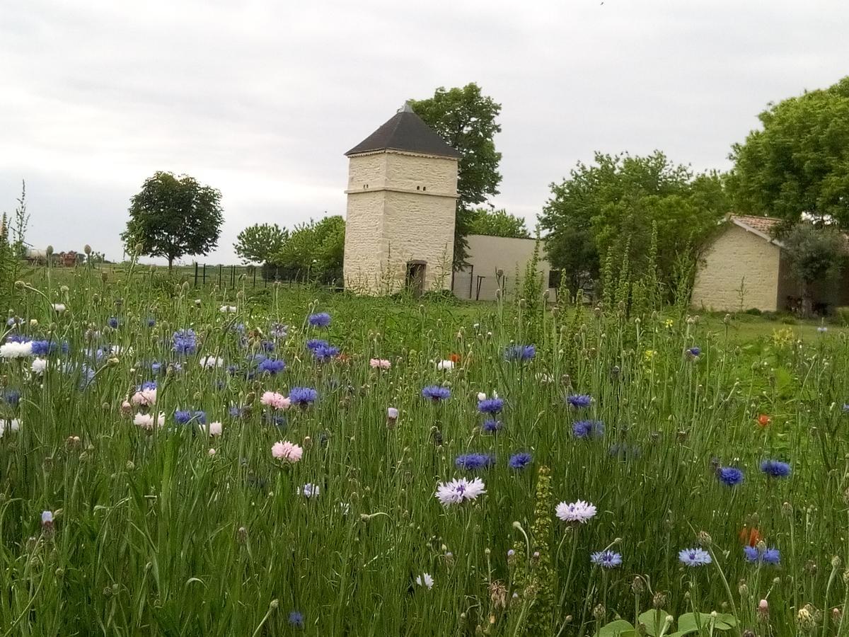Chambres D'Hotes Chateau Pierre De Montignac Civrac-en-Médoc Eksteriør bilde