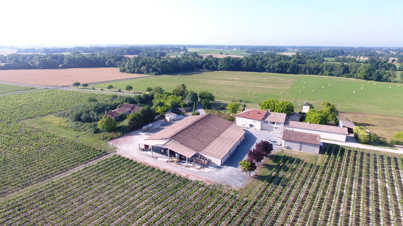 Chambres D'Hotes Chateau Pierre De Montignac Civrac-en-Médoc Eksteriør bilde
